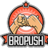 BroPush